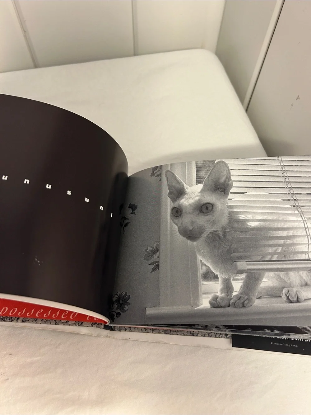 90s cat book What Cats Are cat photography book 1990s black and white art photos